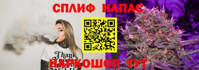PSILOCYBIN Бугуруслан