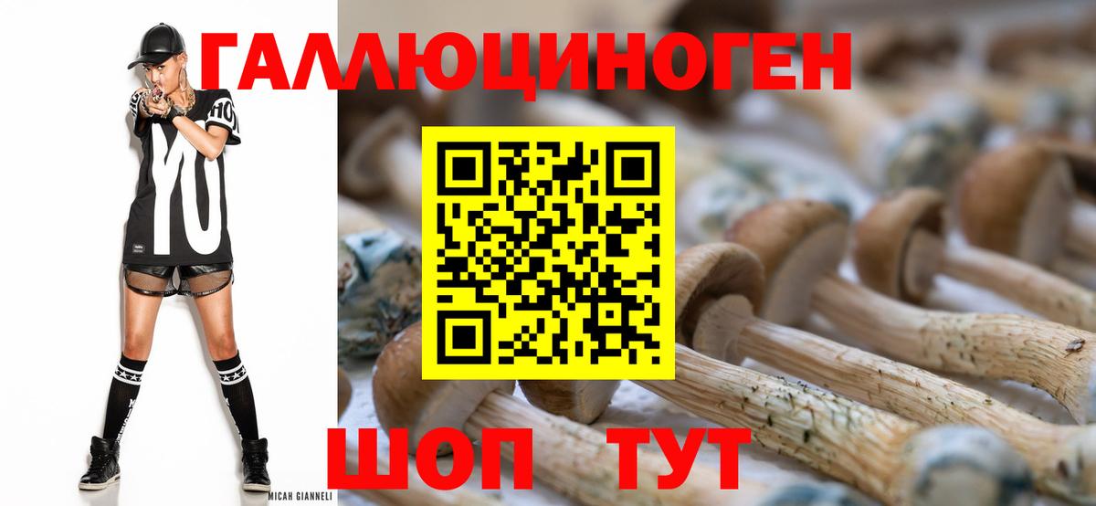 Псилоцибиновые грибы мицелий Лиски